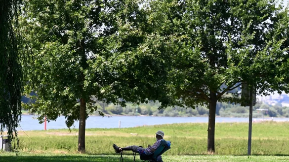 Ein Mann hat sich ein schattiges Plätzchen am Ufer des Rheins in Leverkusen gesucht. (Archivbild) - © Roberto Pfeil/dpa