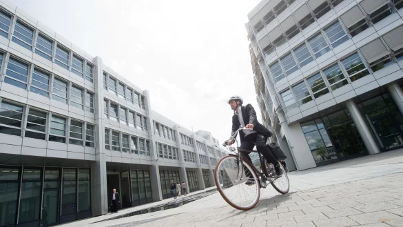 Das erste Tageslicht tanken: Wer kann, geht morgens zu Fuß zur Arbeit oder nimmt das Rad. - © Tobias Hase/dpa/dpa-tmn