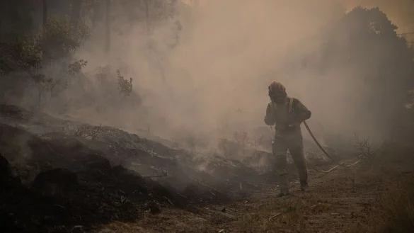 In Portugal wurde eine Fläche so groß wie das Saarland von den Flammen zerstört. (Archivbild) - © Elena Fernandez/ZUMA Press Wire/dpa