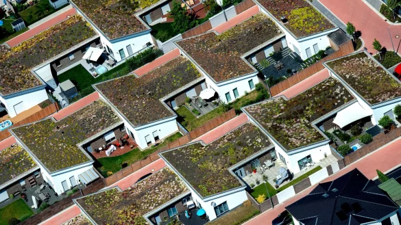 Gr&uuml;ne D&auml;cher sind nicht nur ein Hingucker, sie verbessern auch das Klima in der Umgebung. - &copy; Hauke-Christian Dittrich/dpa/dpa-tmn