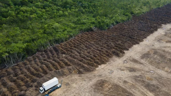 Im brasilianischen Amazonasgebiet sind seit 1985 rund 52 Millionen Hektar Natur verloren gegangen – eine Fläche größer als Spanien. (Archivbild) - © Fernando Souza/ZUMA Press Wire/dpa