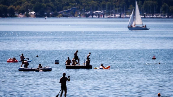 Zur Tötung des Welses hätte es aus Sicht von Peta eine Alternative gegeben. - © Daniel Karmann/dpa