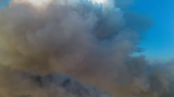 Das Areal wurde früher als Truppenübungsgelände genutzt. - © Daniel Wagner/dpa