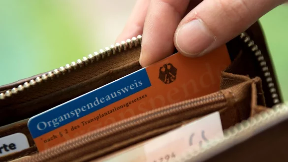 Der Organspendeausweis ist in Apotheken, Arztpraxen oder online als PDF erhältlich. - © Andrea Warnecke/dpa-tmn