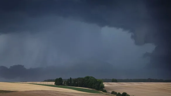 Gewitter und Regen werden vor allem im Süden und Osten Deutschlands erwartet. (Symbolbild) - © Karl-Josef Hildenbrand/dpa