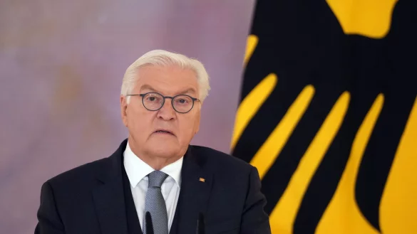 Immer wieder kursieren Falschmeldungen zu Politikerinnen und Politikern in Deutschland. - &copy; S&ouml;ren Stache/dpa