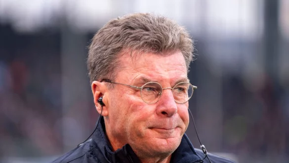 Bochum-Coach Hecking fordert weiter Punkte - © David Inderlied/dpa