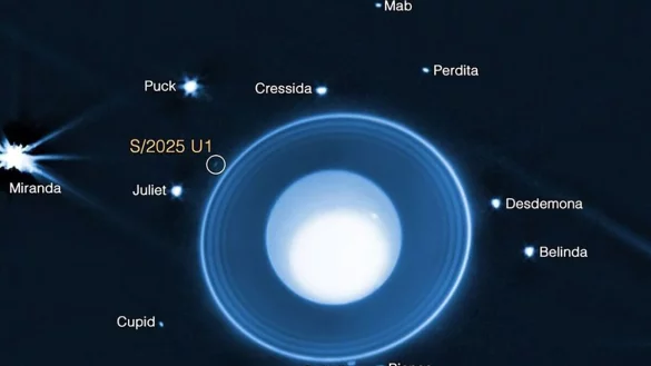 Grafik auf Basis von James-Webb-Daten: Uranus mit seinen Ringen und bekannten Monden. Eingekreist ist der neu entdeckte, nur rund zehn Kilometer große Mond S/2025 U1. - © -/NASA/dpa