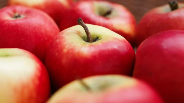 Eine der zwei neuen Apfelsorten ist süßer, die andere etwas säuerlicher im Geschmack. - © Lässig/Ecarf/dpa