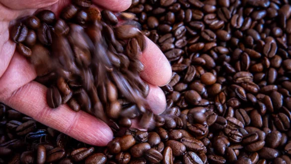 Mit dem Deal will der US-Konzern Keurig Dr Pepper einen globalen Kaffeechampion aufbauen. (Symbolbild) - &copy; Jens B&uuml;ttner/dpa