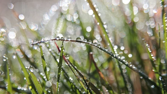 Für das Wochenende ist wechselhaftes Wetter angekündigt. - © Matthias Bein/dpa