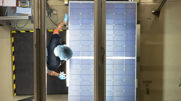 Laut Insolvenzverwalter Fl&ouml;ther gibt es f&uuml;r den Solarmodulhersteller eine Reihe von Interessenten. (Archivbild) - &copy; Sebastian Kahnert/dpa-Zentralbild/dpa