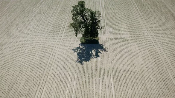 Weite Teile Europas leiden seit Jahren unter zunehmender Wasserknappheit. (Archivbild) - &copy; Boris Roessler/dpa