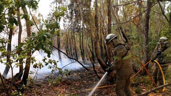 In Portugal gibt es eine leichte Entspannung bei den schweren Waldbränden. Noch aber sind rund 1.400 Feuerwehrleute im Einsatz. - © Xun Wei/XinHua/dpa