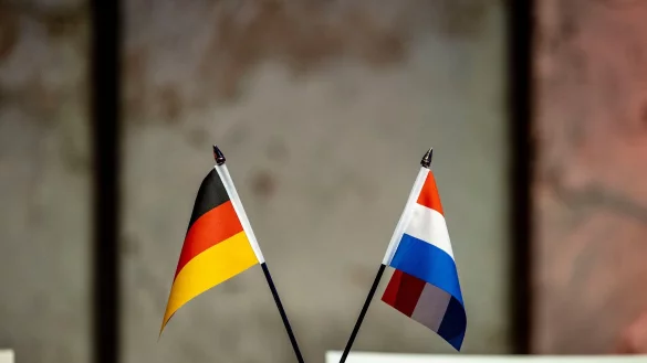Kampf durch den Steuer-Dschungel zweier Länder braucht kein Mensch - Deutschland und die Niederlande wollen Entlastungen für Grenzpendler schaffen. (Symbolbild) - © Christoph Reichwein/dpa