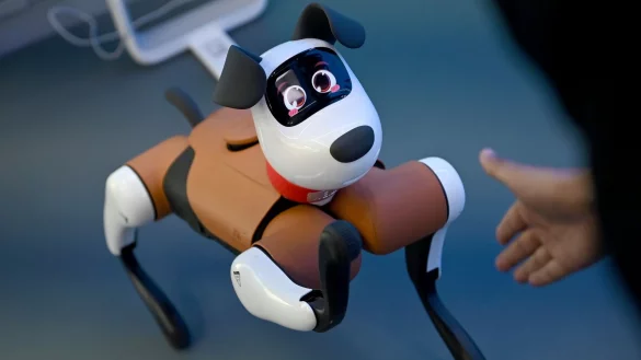 Roboter-Hunde tauchen bereits gelegentlich im Straßenbild chinesischer Großstädte auf. - © Johannes Neudecker/dpa
