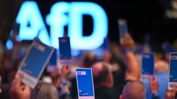 Die AfD will ihre neue Jugendorganisation st&auml;rker an sich binden. (Archivbild) - &copy; Heiko Rebsch/dpa