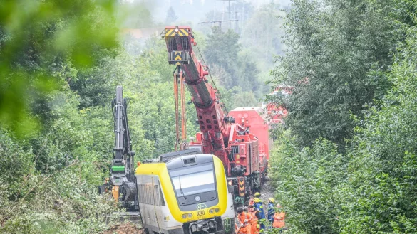 Mit einem Kran wird an der Unfallstelle, an der ein Regionalzug entgleist ist, gearbeitet. Ein Regionalexpress war am Sonntagabend (27.07.2025) in Riedlingen nach bisherigen Erkenntnissen infolge eines Hangrutsches entgleist. - &copy; Jason Tschepljakow/dpa
