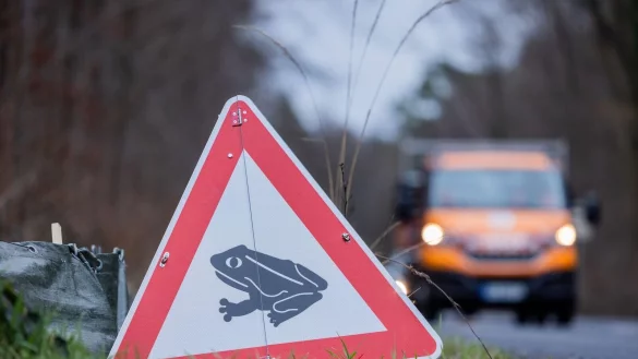 Tausende Helfer machen mit beim Krötenschutz. - © Rolf Vennenbernd/dpa