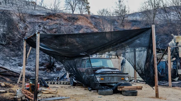 Das «Canyon Fire» zerstörte nach Angaben der Behörden mindestens sieben Gebäude. - © Amy Katz/ZUMA Press Wire/dpa