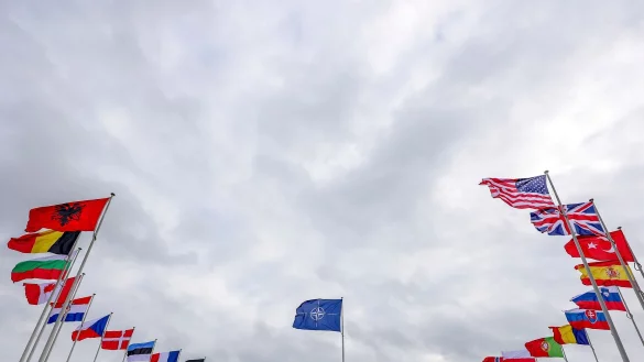 Die Fahnen der Nato-Staaten, darunter auch viele EU-Staaten. (Archivbild) - &copy; Olivier Matthys/AP/dpa