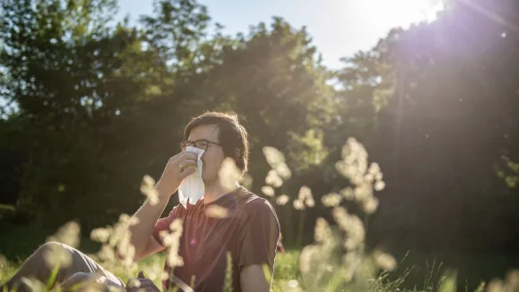 Wenn die Natur zur Qual wird: Pollen schr&auml;nken viele Allergiker stark im Alltag ein. - &copy; Zacharie Scheurer/dpa-tmn