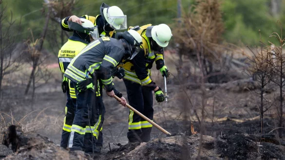 Versteckte Glutnester werden die Feuerwehrleute noch einige Tage nach dem Waldbrand auf der Saalfelder Höhe beschäftigen. - © Michael Reichel/dpa