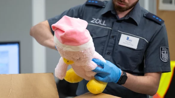 Im vergangenen Jahr schritten die Zollbeh&ouml;rden in der EU laut einem Bericht knapp 400.000 Mal ein und f&uuml;hrten Dokumentenkontrollen, physische Kontrollen oder Labortests durch. (Symbolbild) - &copy; Hendrik Schmidt/dpa