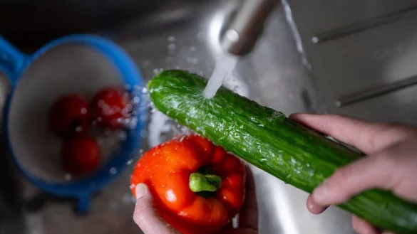 Für Paprika und Gurken müssen Kunden deutlich mehr bezahlen als vor einem Jahr. - © Monika Skolimowska/dpa