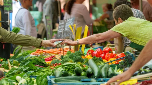 Bei Salat liegt der deutsche Selbstversorgungsgrad etwas h&ouml;her als bei anderen Gem&uuml;searten. (Archivbild) - &copy; Andreas Arnold/dpa