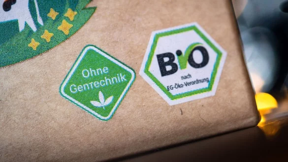 Bei der Diskussion um neue Gentechnik-Regeln stehen sich zwei Seiten gegenüber. Kritiker fürchten unvorhersehbare Risiken, Befürworter hoffen auf Ernährungssicherheit, auch in Krisenzeiten. (Archivbild) - © Sina Schuldt/dpa