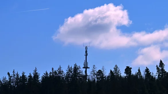 Hier gibt es Handynetz - anderswo fehlen hingegen noch Mobilfunkmasten im Wald, an Wiesen oder an Bauernhöfen. (Symbolbild) - © Martin Schutt/dpa