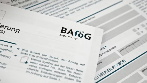 Durchschnittlich 635 Euro erhielten die Gef&ouml;rderten pro Monat im vergangenen Jahr. (Symbolbild) - &copy; Elisa Schu/dpa