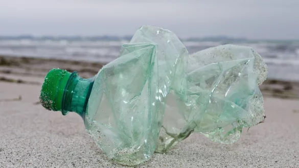 Angesichts von Klimawandel, Artensterben und Umweltproblemen weist ein Bericht der Vereinten Nationen auf Möglichkeiten der Veränderung sowie tiefe Ursachen von globalen Problemen hin. - © Stefan Sauer/dpa-Zentralbild/dpa