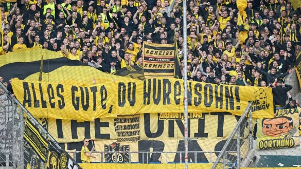 BVB-Fans zeigen ein Transparent gegen den langj&auml;hrigen Hoffenheim-M&auml;zen Dietmar Hopp in Sinsheim. - &copy; Uwe Anspach/dpa