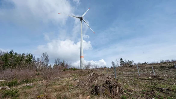 Grünstrom aus Wind- und Solaranlagen soll in Elektrolyseuren grünen Wasserstoff erzeugen. (Symbolbild) - © Markus Klümper/dpa