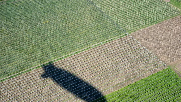 Vor 125 Jahren hob der erste Zeppelin ab. (Symbolbild) - &copy; Stefan Puchner/dpa
