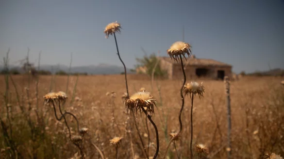 Der F&uuml;llstand der Wasserspeicher sinkt rapide. (Archivbild) - &copy; Clara Margais/dpa