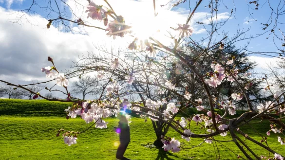 Das Wetter in NRW wird mild. (Archivbild) - &copy; Thomas Banneyer/dpa