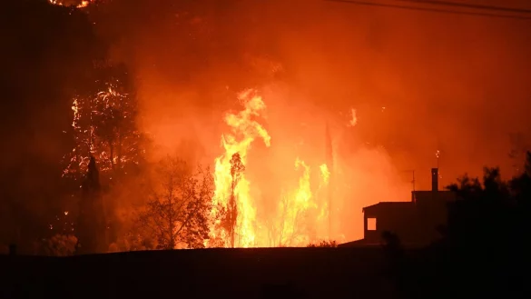 Fast immer sind die Brände menschengemacht - ob aus Versehen oder mit Absicht. (Archivbild) - © Giannis Androutsopoulos/AP/dpa