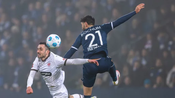 Die Zuschauer im Ruhrstadion sahen Abstiegskampf pur. - © David Inderlied/dpa