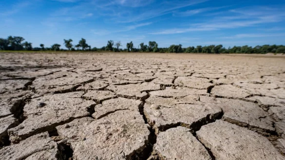Eine neue Studie besagt, dass auf der Grundlage des derzeitigen CO2-Aussto&szlig;es nur noch drei Jahre bis zur &Uuml;berschreitung des 1,5 Grad-Ziels bleiben (Archivbild). - &copy; Armin Weigel/dpa
