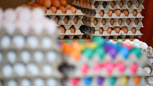 Derzeit in den USA ein rares Gut: Eier. (Archivbild) - © Arne Dedert/dpa