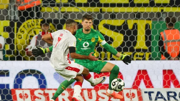 Wurde zum Garanten f&uuml;r Dortmund: Gregor Kobel. - &copy; Christoph Reichwein/dpa