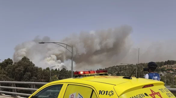 Waldbrände wüten bei Jerusalem. - © ---/Magen David Adom/dpa