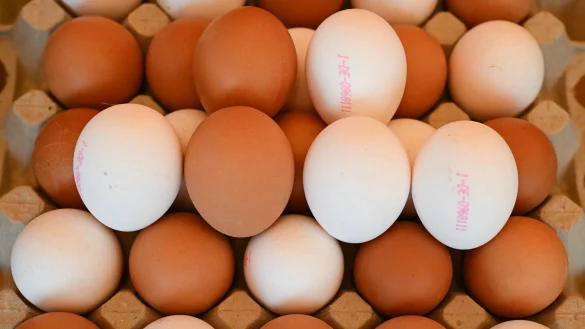 Derzeit in den USA ein rares Gut: Eier. - © Arne Dedert/dpa