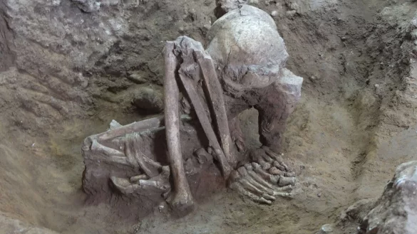 Dieser Fund soll &auml;lter als 9.000 Jahre sein. - &copy; Yousuke Kaifu;Hirofumi Matsumura/dpa