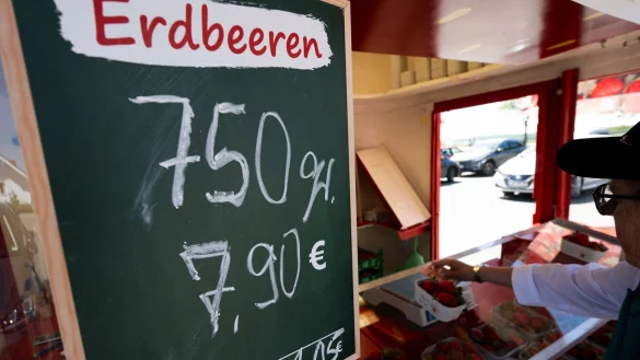 Krumme Packungsgrößen, hohe Preise: Erdbeeren in der Saison 2025. - © Philip Dulian/dpa