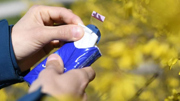 Besonders Birken- und Eschenpollen sind jetzt unterwegs. (Archivbild) - © Angelika Warmuth/dpa