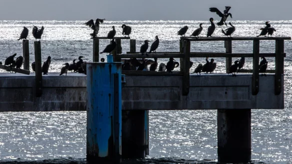 Nach der Hitze kühlt es etwas ab. - © Jens Büttner/dpa
